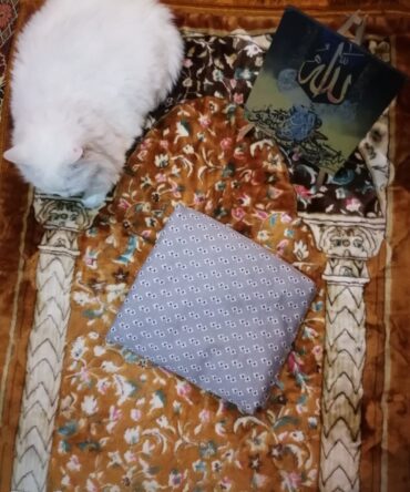 Printed Namaz Chaddar