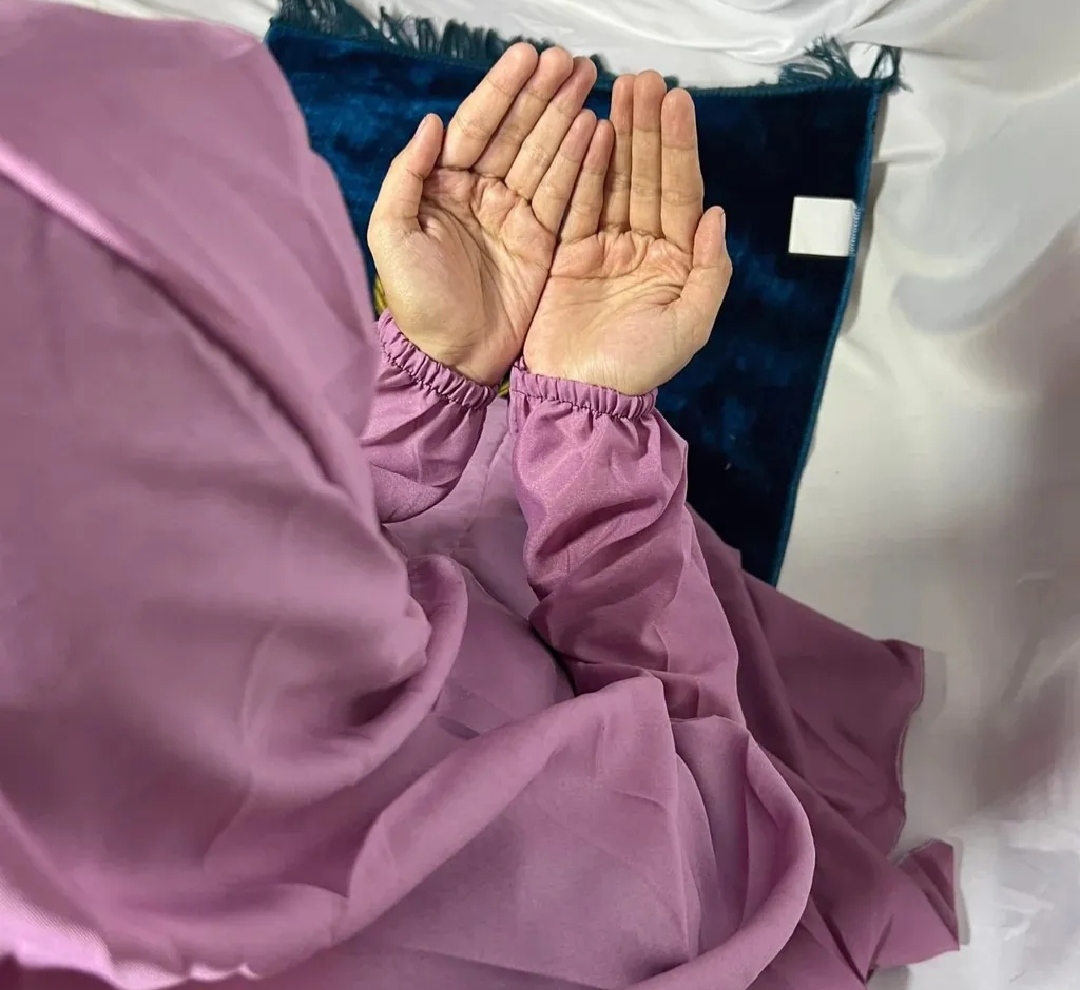 Plain Namaz chaddar - Image 13