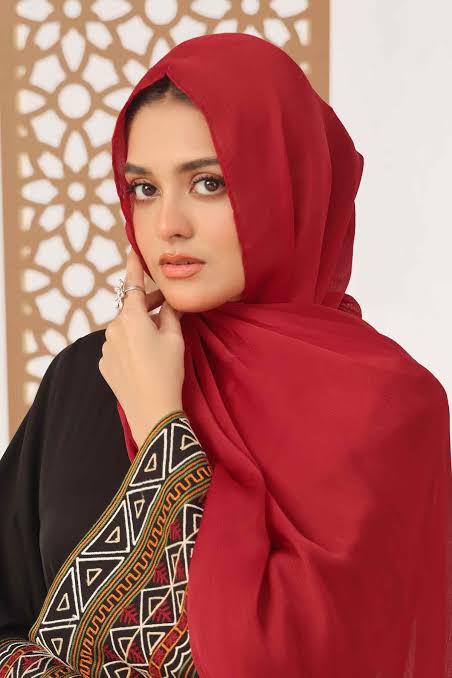 Georgette Silk Hijabs - Image 4