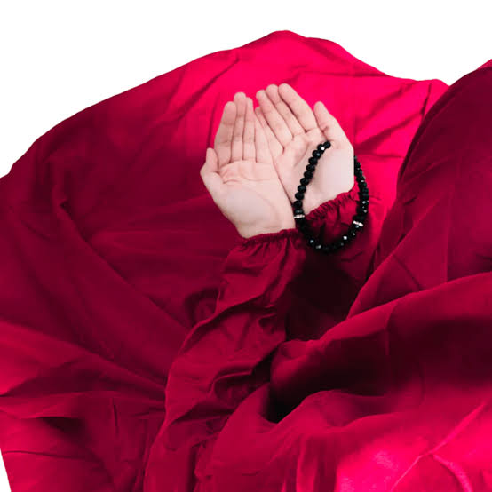 Plain Namaz chaddar - Image 7